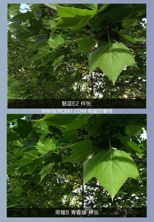 魅藍E2和榮耀8青春版拍照哪個好 樣張對比