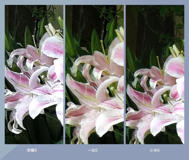 拍照誰更強？一加5 、小米6、榮耀9拍照樣張對比