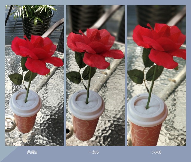 拍照誰更強？一加5 、小米6、榮耀9拍照樣張對比