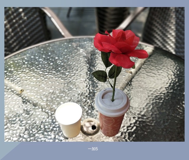 拍照誰更強?一加5 、小米6、榮耀9拍照樣張對比