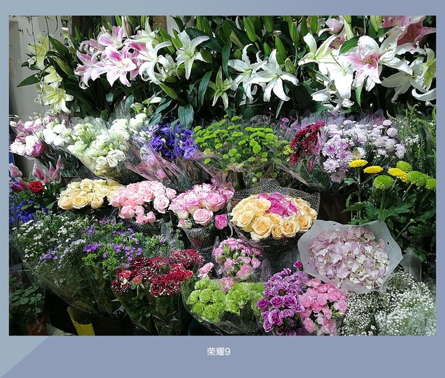 拍照誰更強?一加5 、小米6、榮耀9拍照樣張對比