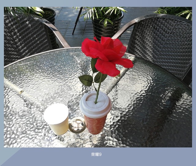 拍照誰更強?一加5 、小米6、榮耀9拍照樣張對比