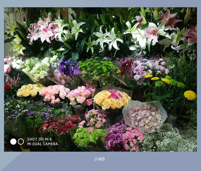 拍照誰更強?一加5 、小米6、榮耀9拍照樣張對比