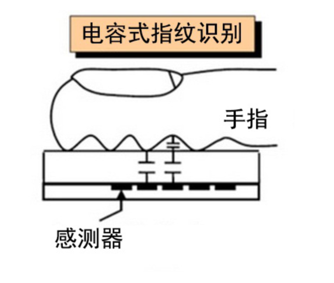 手機指紋識別有幾種？聊聊手機指紋識別那些事