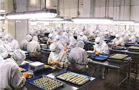 加碼發(fā)展智能制造“無(wú)人水餃工廠”曝光，再不努力真該失業(yè)了