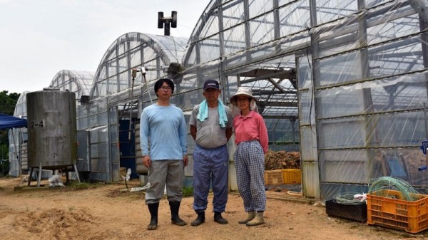 機(jī)器或能替代人類(lèi)分揀黃瓜 人工智能真的無(wú)所不能么？