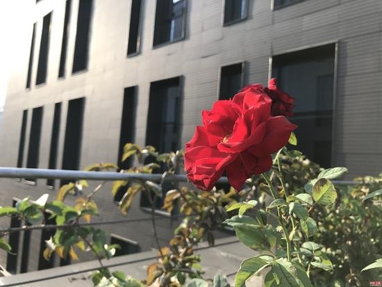 iPhone8/8 Plus全面評測：給你一個不等iPhoneX的理由