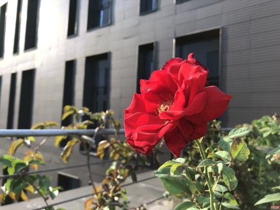 iPhone8/8 Plus全面評測：給你一個不等iPhoneX的理由