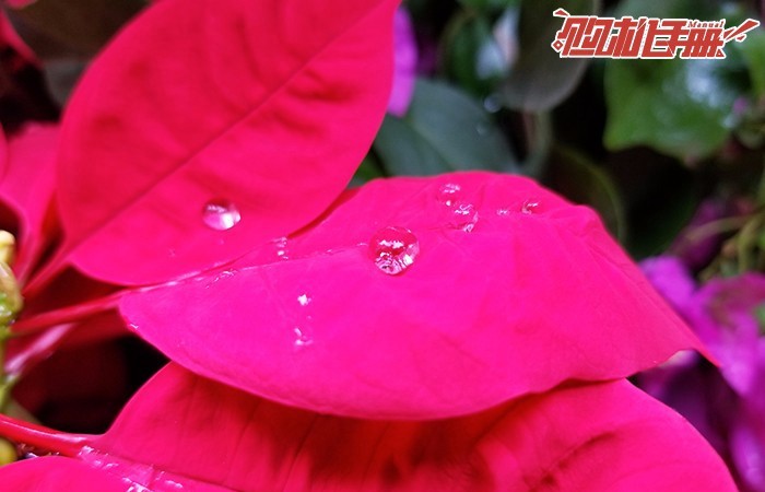 三星Note8購機(jī)手冊：3分鐘看懂三星Note8是否值得買