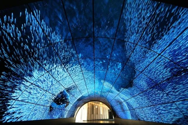 OLED和LED區別對比 OLED和LED哪個好？