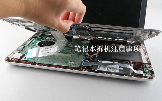 筆記本電腦拆機注意事項 新手怎么拆解筆記本電腦？