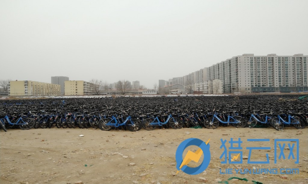 街頭消失的小藍單車去了哪？北五環(huán)附近停車場近6萬輛等待著重回市場