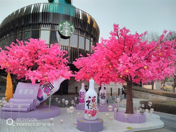 千元機拍照專家！努比亞V18評測：全面屏長續航