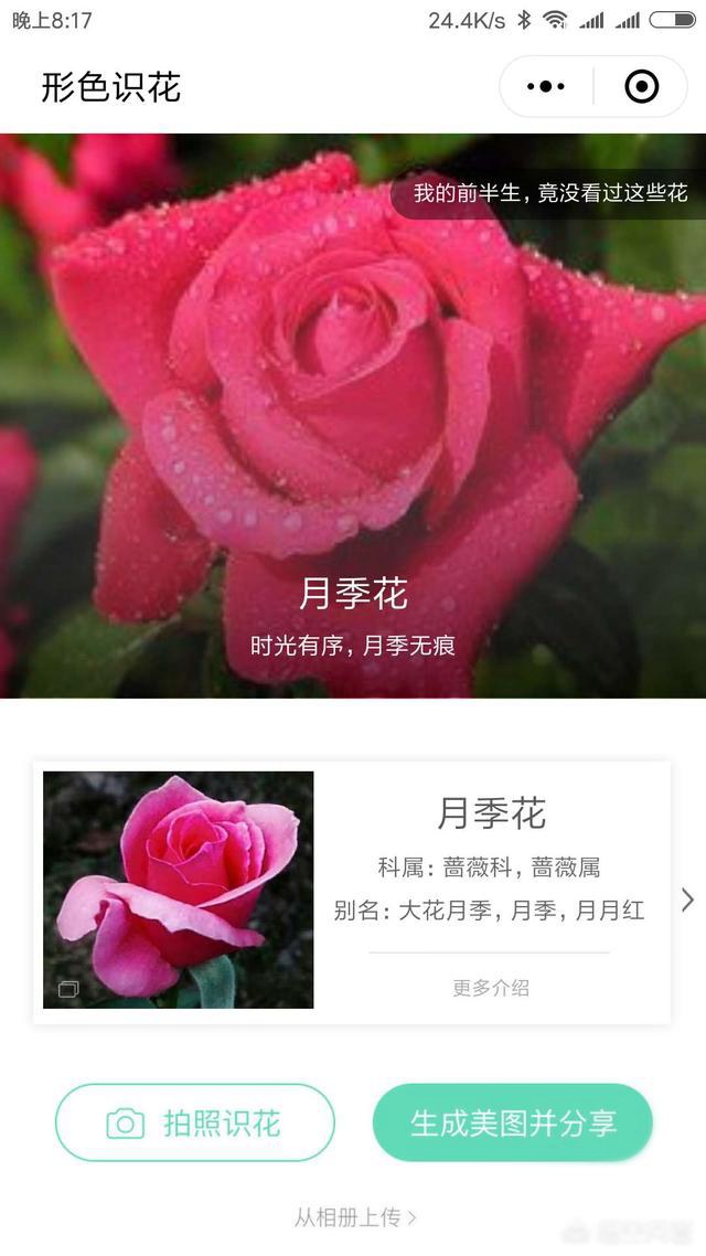 好玩的微信小程序有哪些?十款實(shí)用微信小程序推薦