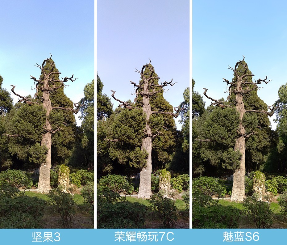 堅(jiān)果3、榮耀暢玩7C、魅藍(lán)S6拍照樣張對(duì)比 千元機(jī)拍照哪個(gè)好?