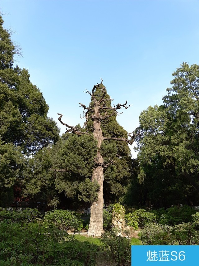 堅(jiān)果3、榮耀暢玩7C、魅藍(lán)S6拍照樣張對(duì)比 千元機(jī)拍照哪個(gè)好?