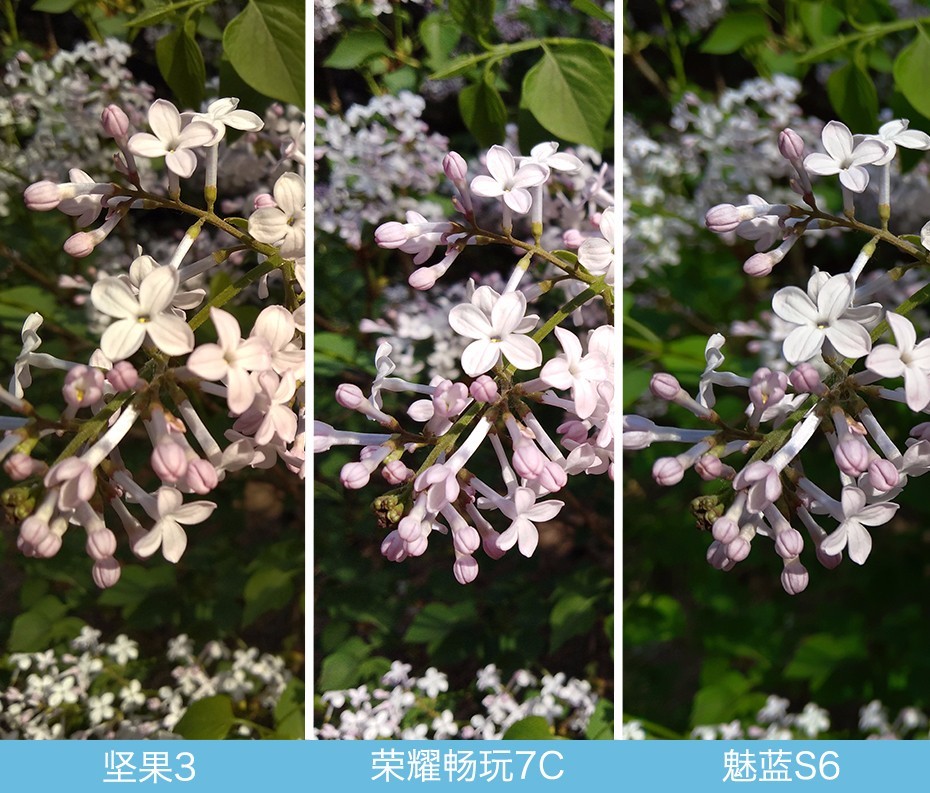 堅(jiān)果3、榮耀暢玩7C、魅藍(lán)S6拍照樣張對(duì)比 千元機(jī)拍照哪個(gè)好?
