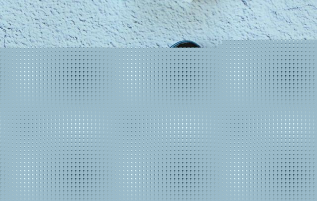 榮耀10值得買嗎 榮耀10全面評測