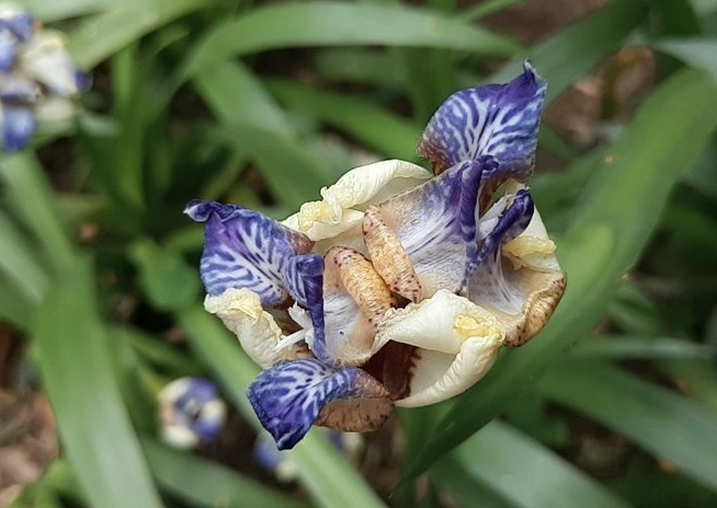 1524451834830274.png 魅族15Plus真機(jī)開(kāi)箱圖賞與評(píng)測(cè)