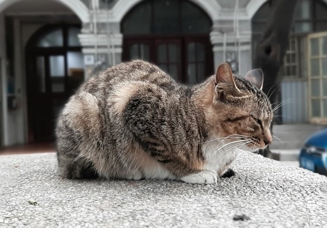 1524451859431662.png 魅族15Plus真機(jī)開(kāi)箱圖賞與評(píng)測(cè)