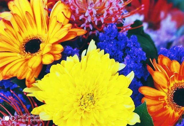 小米6X評測：價格厚道/配置無短板