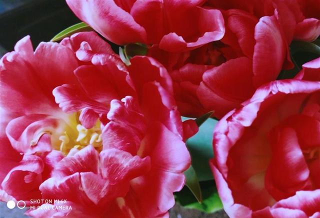 小米6X評測：價格厚道/配置無短板