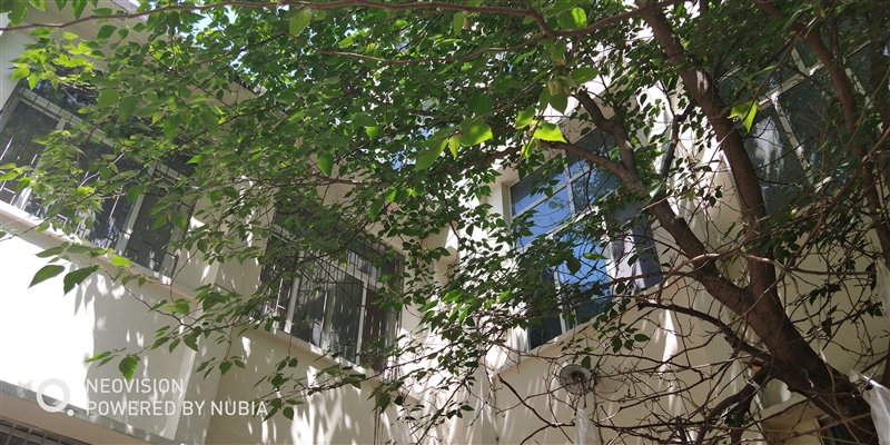 1799元起！努比亞Z18mini評測：3D曲面玻璃+2400萬像素