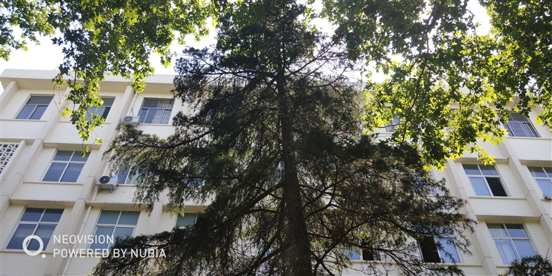 1799元起！努比亞Z18mini評測：3D曲面玻璃+2400萬像素