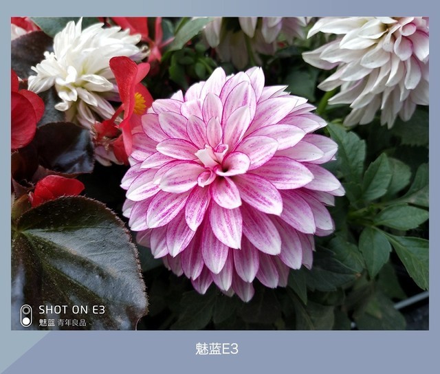 360N7、魅藍(lán)E3、紅米Note5對比評測 千元強(qiáng)機(jī)你選誰?