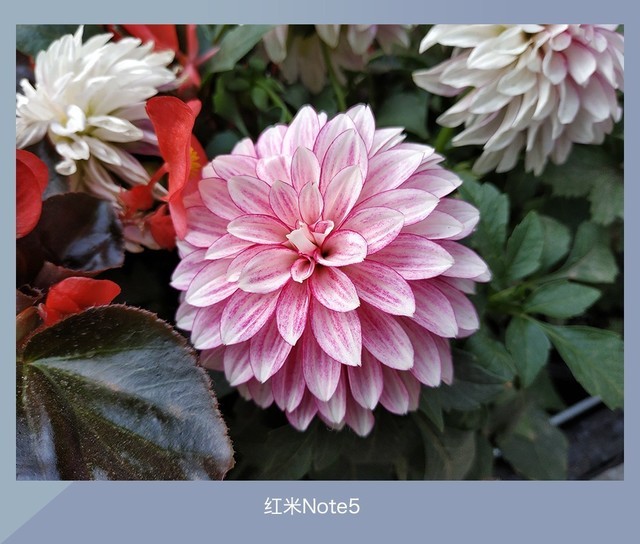 360N7、魅藍(lán)E3、紅米Note5對比評測 千元強(qiáng)機(jī)你選誰?