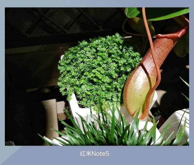 360N7、魅藍E3、紅米Note5對比評測 千元強機你選誰?