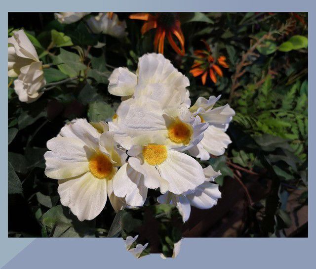 小米MIX2S、華為P20、魅族15 Plus對比評測 三款旗艦機大亂斗