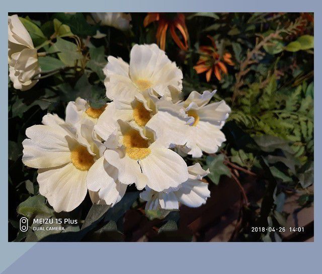 小米MIX2S、華為P20、魅族15 Plus對比評測 三款旗艦機大亂斗