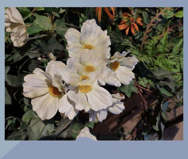 小米MIX2S、華為P20、魅族15 Plus對比評測 三款旗艦機大亂斗