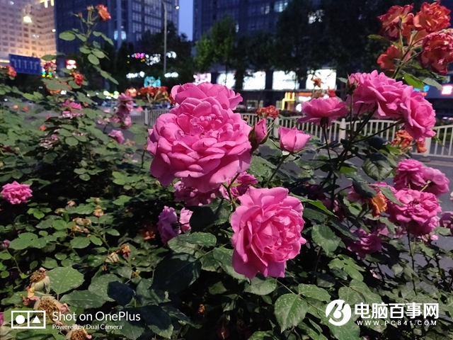 一加手機6怎么樣 值得買嗎？一加6評測