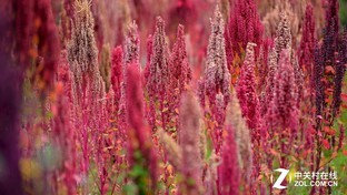 3299元側投神器 神畫Q1智能影院評測 3299元側投神器 神畫Q1智能影院評測