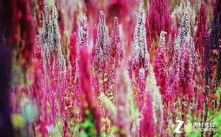 3299元側投神器 神畫Q1智能影院評測 3299元側投神器 神畫Q1智能影院評測