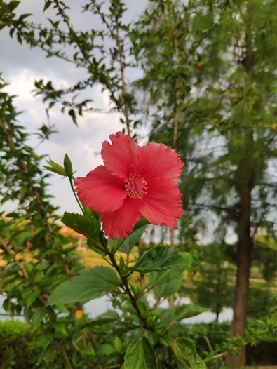 2018最強(qiáng)安卓旗艦！小米8詳細(xì)評(píng)測(cè)