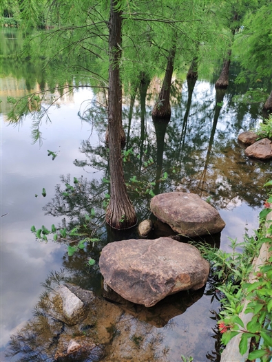 2018最強(qiáng)安卓旗艦！小米8詳細(xì)評(píng)測(cè)