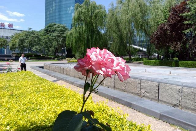 Fenmmy Note值得買嗎 國美Fenmmy Note評測