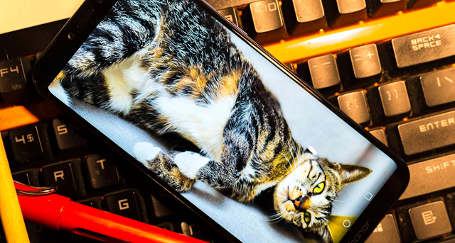 榮耀Play配置怎么樣 榮耀Play參數與真機圖賞