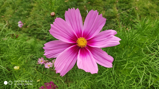 小米8 SE評測:首發(fā)驍龍710,到底怎么樣?