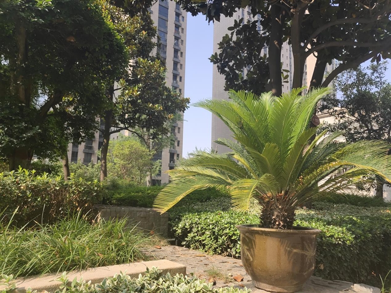 首發升降式相機 vivo NEX評測:這才是未來的手機