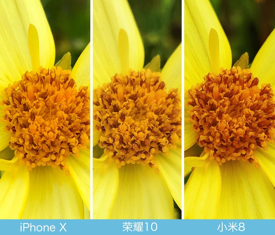 iPhone X、榮耀10、小米8拍照對比評測 蘋果秒殺一切？