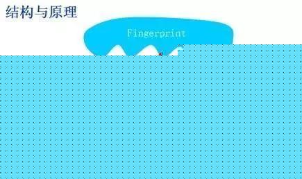小米8透明探索版不完全拆解：我們發(fā)現(xiàn)了一個秘密