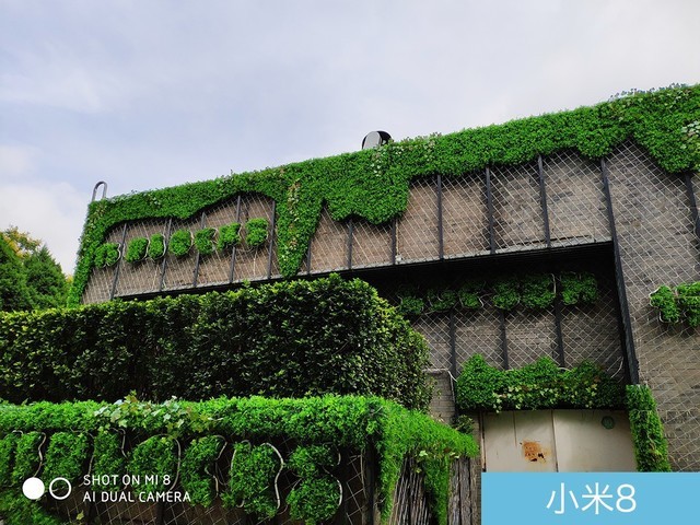 魅族16、小米8、榮耀Note10拍照對比評測 國產(chǎn)旗艦相機對決