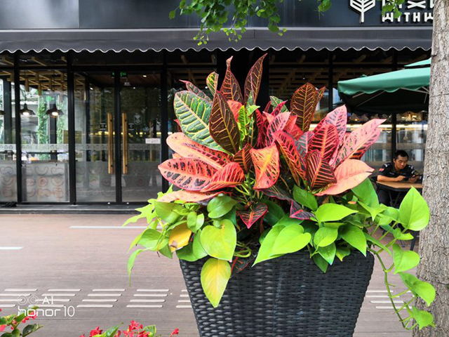 榮耀10GT 8GB版實測:大內存就究竟能帶來多大提升?