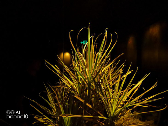 榮耀10GT 8GB版實測:大內存就究竟能帶來多大提升?