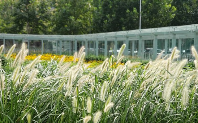 三星Note9值得買嗎 三星Note9全面評測