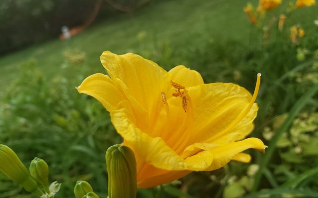 三星Note9值得買嗎 三星Note9全面評測